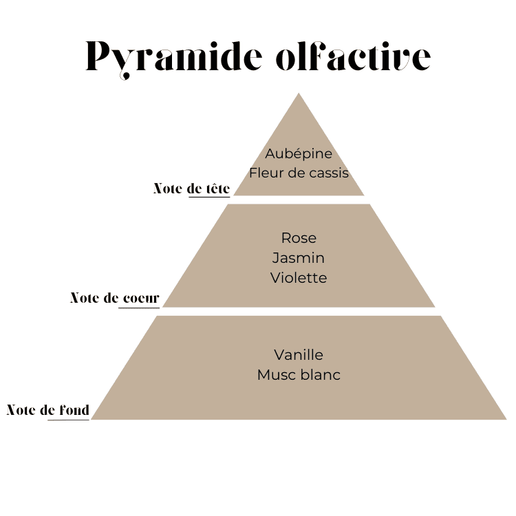 Fondant parfumé naturel  So clean 19gr vendor-unknown