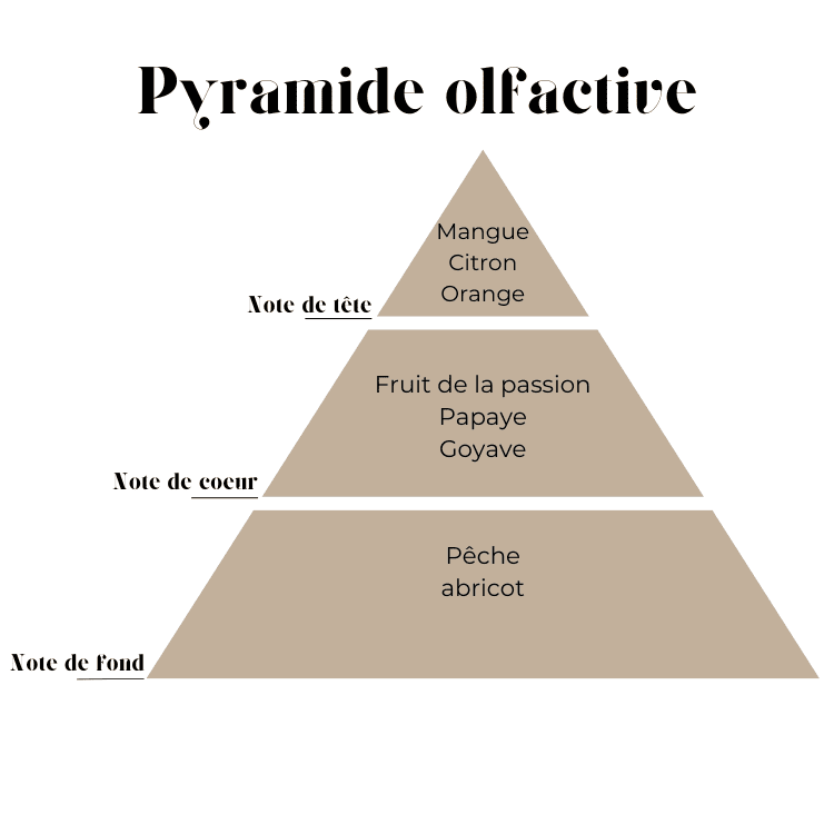 Mangue 19 gr - Fondant parfumé 19gr naturel et végétal vendor-unknown