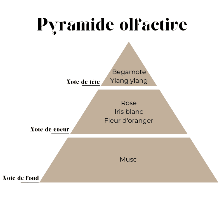 Fondant parfumé au Musc Blanc : Une évasion sensorielle inédite vendor-unknown