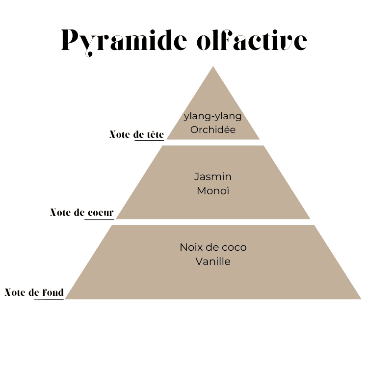 Pyramide olfactive Monoï - tête noix de coco, cœur tiaré, fond vanille