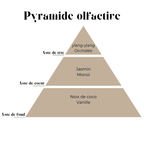 Pyramide olfactive Monoï - tête noix de coco, cœur tiaré, fond vanille