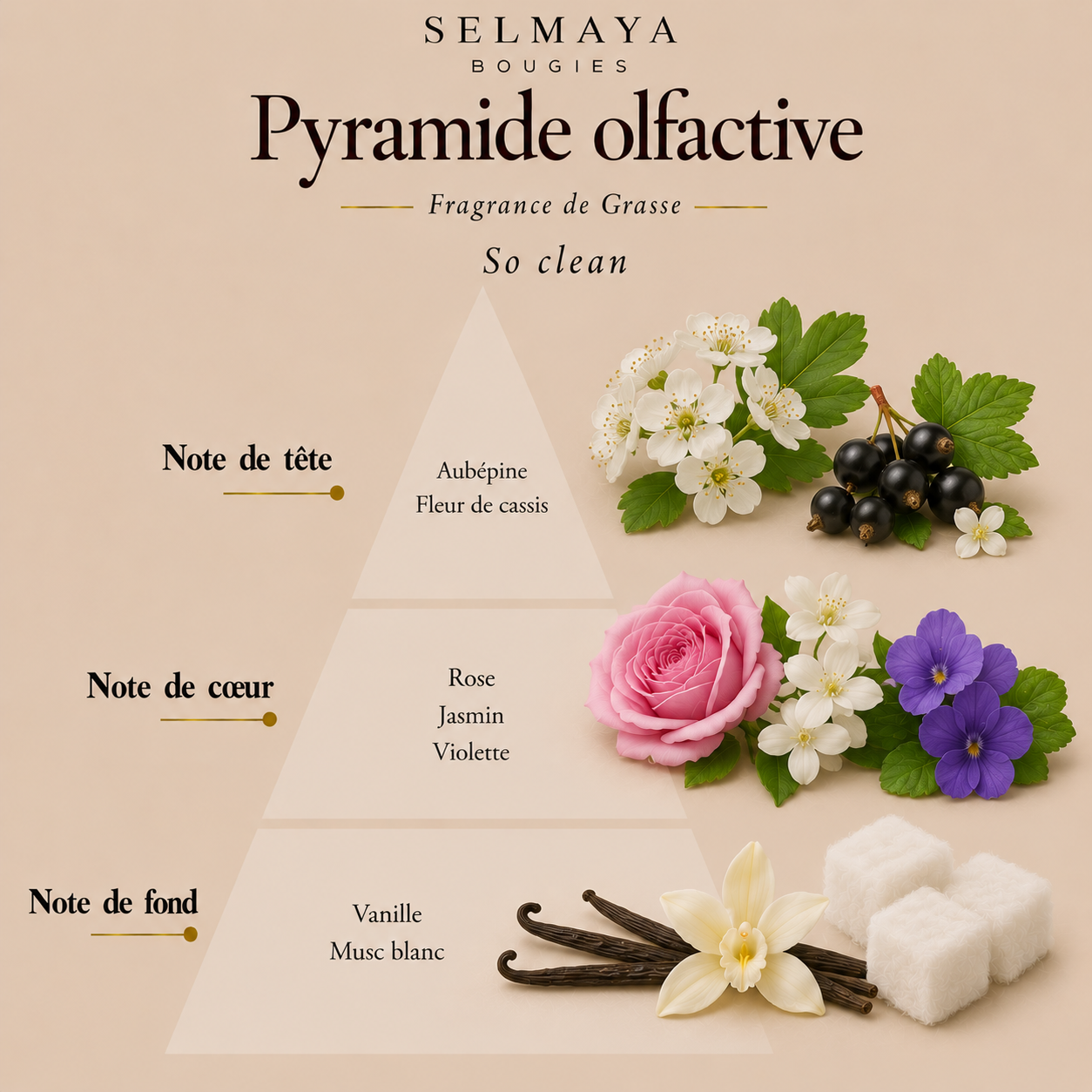 Fondant parfumé - So clean