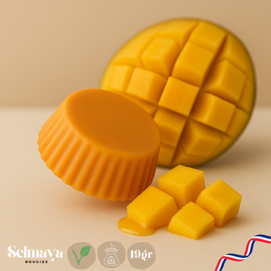 Mangue 19 gr - Fondant parfumé 19gr et végétal
