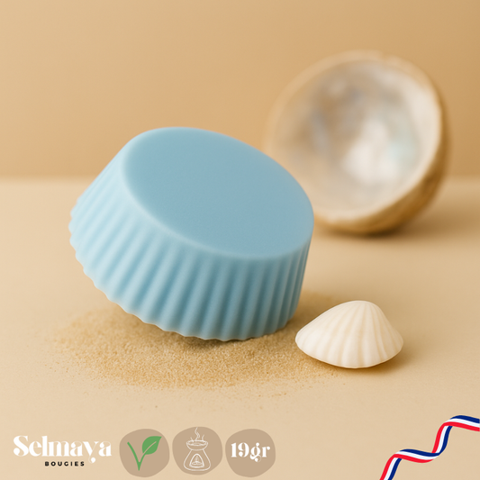 Playa 19gr - Fondant parfumé végétal