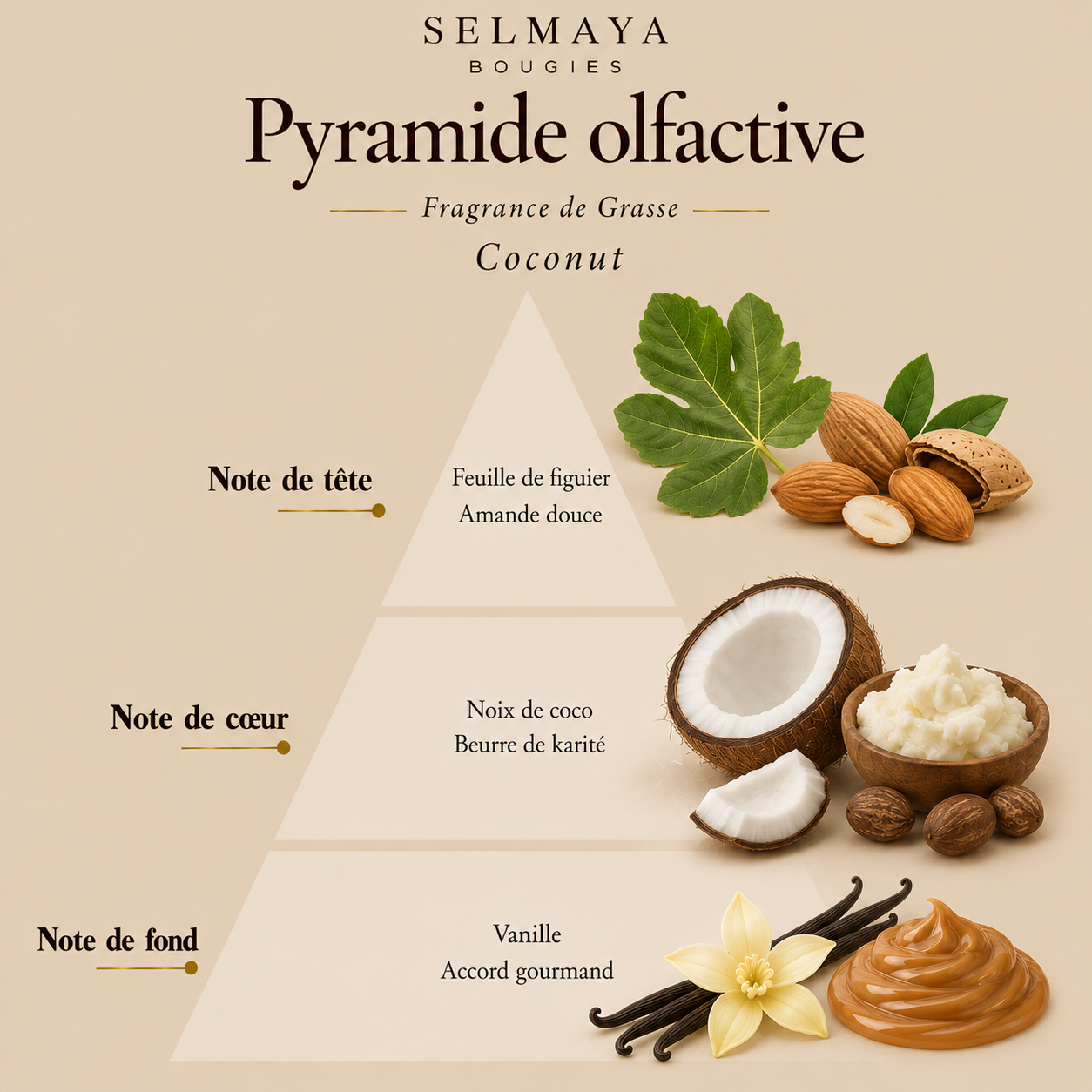 Fondant parfumé Coconut : Une escapade tropicale dans votre intérieur
